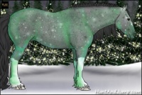 Horse Color:Blue Roan 