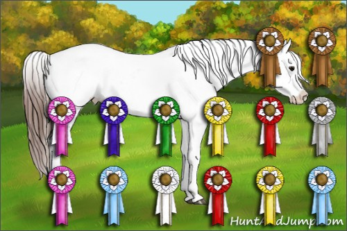 Horse Color:Bay Splash Tobiano Snowflake Varnish