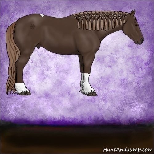 Horse Color:Liver Chestnut Tobiano