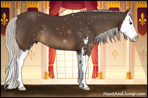 Horse Color:Silver Brown Sabino Splash 