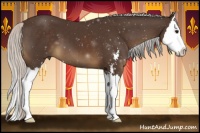 Horse Color:Silver Brown Sabino Splash