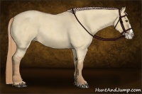 Horse Color:Red Dun Roan Splash