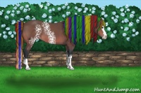 Horse Color:Painted White Spotted Bay Splash