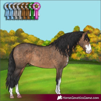 Horse Color:Brown Dun Sabino Brindle