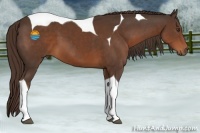 Horse Color:Liver Chestnut Tobiano 