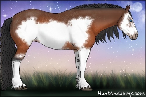 Horse Color:Brown Splash Frame Rabicano