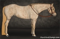 Horse Color:Chestnut  and Red Roan 