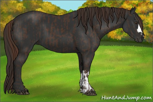 Horse Color:Liver Chestnut and Gray Liver Chestnut