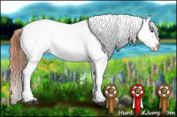 Horse Color:Bay Dun Tobiano Appaloosa 