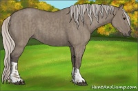Horse Color:Silver Smoky Grullo  and Silver Grullo 