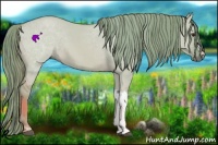 Horse Color:Watercolor Red Dun 