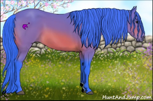 Horse Color:Watercolor Bay 