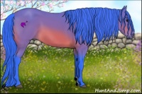Horse Color:Watercolor Bay 