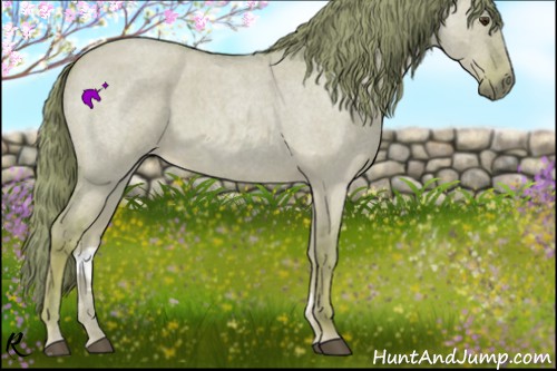 Horse Color:Watercolor Red Dun Roan 