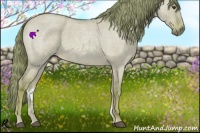 Horse Color:Watercolor Red Dun Roan 