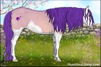 Horse Color:Watercolor Buckskin Dun Splash