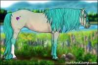 Horse Color:Watercolor Bay Dun 