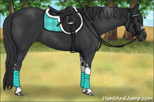 Horse Color:Black Tobiano  and Black Tobiano Frame 