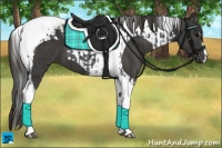 Horse Color:Black Tobiano and Smoky Black Tobiano