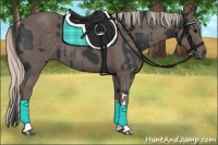 Horse Color:Black Tobiano  and Silver Black Tobiano 