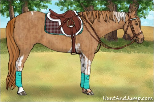 Horse Color:Chestnut  and Chestnut Tobiano 