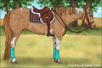Horse Color:Chestnut  and Chestnut Tobiano 