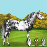 Horse Color:Black Frame 