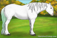 Horse Color:Watercolor Chestnut Appaloosa 