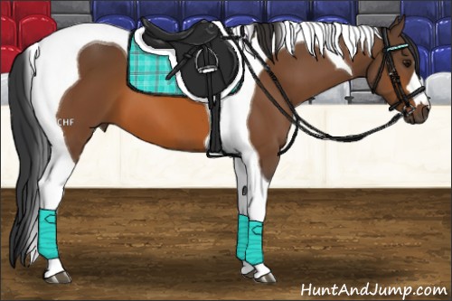 Horse Color:Bay Tobiano 