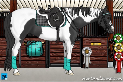 Horse Color:Black Tobiano 