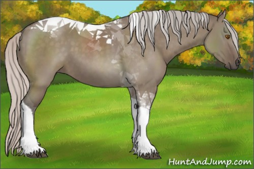 Horse Color:Silver Grullo Tobiano 