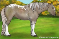 Horse Color:Silver Grullo Tobiano 