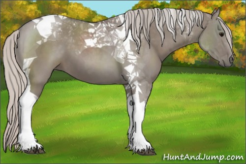 Horse Color:Silver Grullo Tobiano