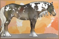 Horse Color:White Spotted Liver Chestnut Sabino
