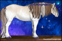 Horse Color:White Spotted Bay Pearl Dun Rabicano