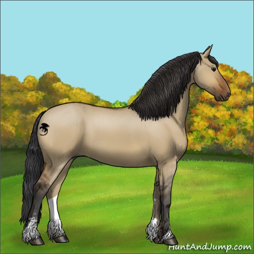 Horse Color:Brown Dun Sabino 
