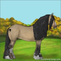 Horse Color:Brown Dun Sabino
