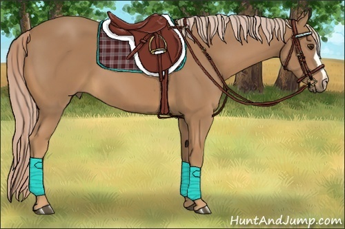 Horse Color:Palomino 