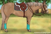 Horse Color:Palomino 