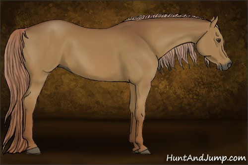 Horse Color:Gray Palomino 