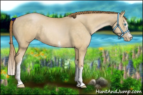 Horse Color:White Spotted Buckskin Pearl Rabicano 