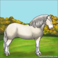 Horse Color:Palomino Pearl Dun Splash Appaloosa 