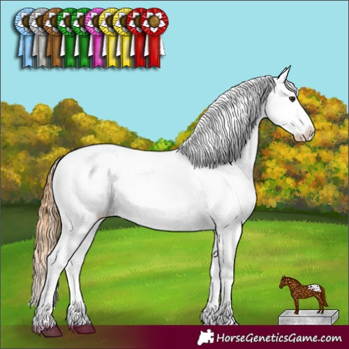 Horse Color:Red Dun Appaloosa 