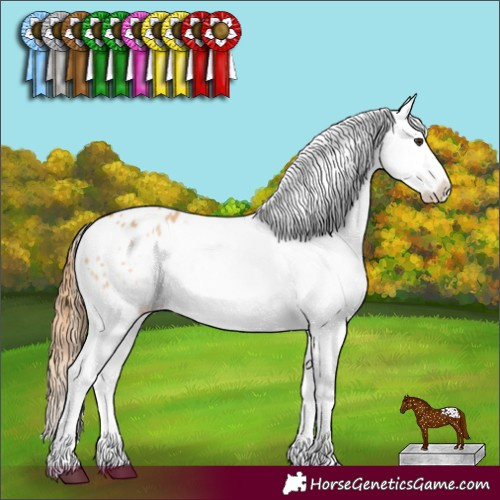 Horse Color:Red Dun Appaloosa 