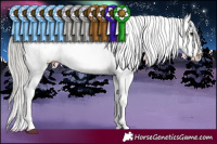 Horse Color:Liver Red Dun Mushroom Appaloosa