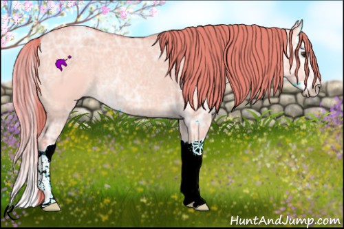 Horse Color:Watercolor Red Dun Ice Splash