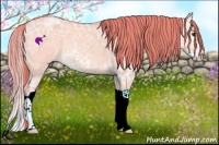 Horse Color:Watercolor Red Dun Ice Splash 