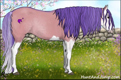 Horse Color:Watercolor Grullo Splash 