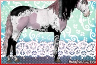 Horse Color:Watercolor Red Dun Splash Tobiano