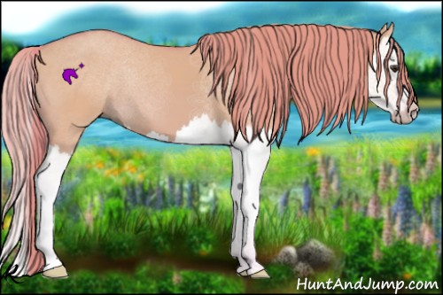 Horse Color:Watercolor Red Dun Splash 